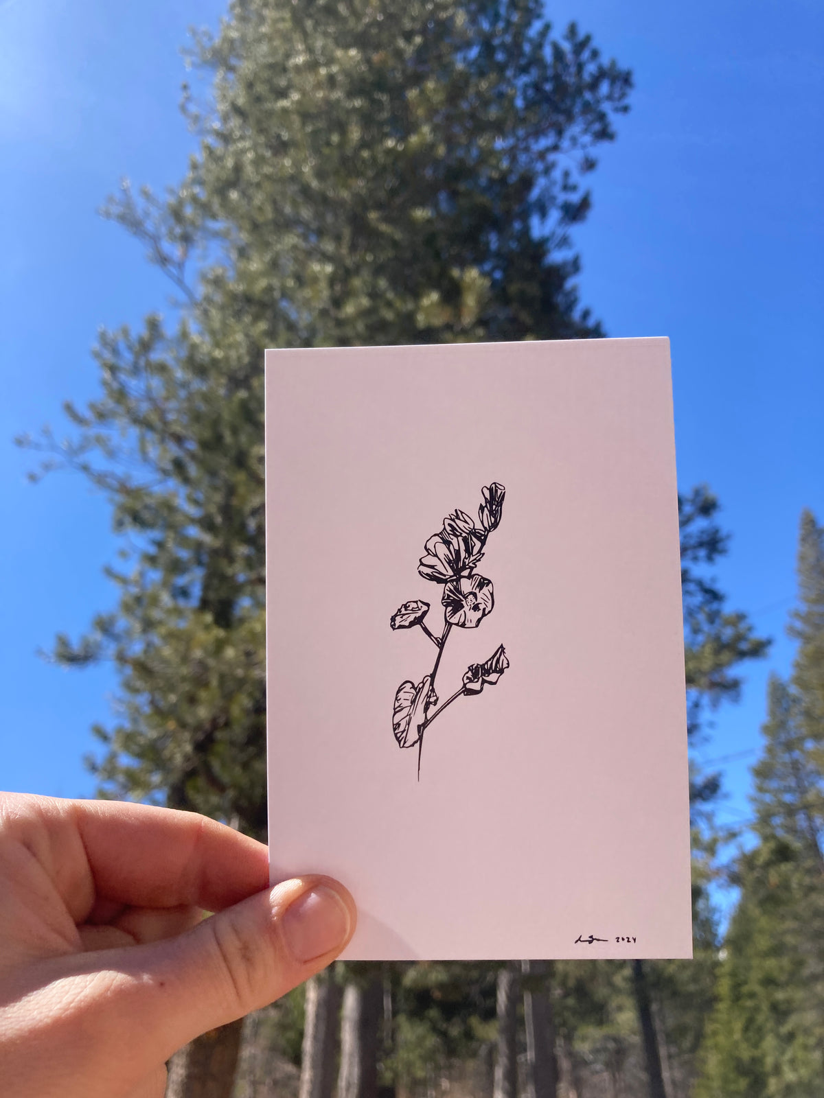 Globemallow Sprig