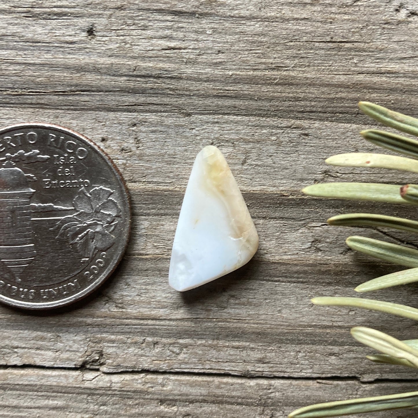 Dendritic Opal freeform