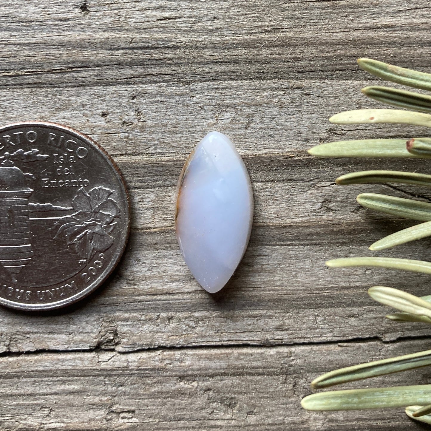 Dendritic Opal marquise