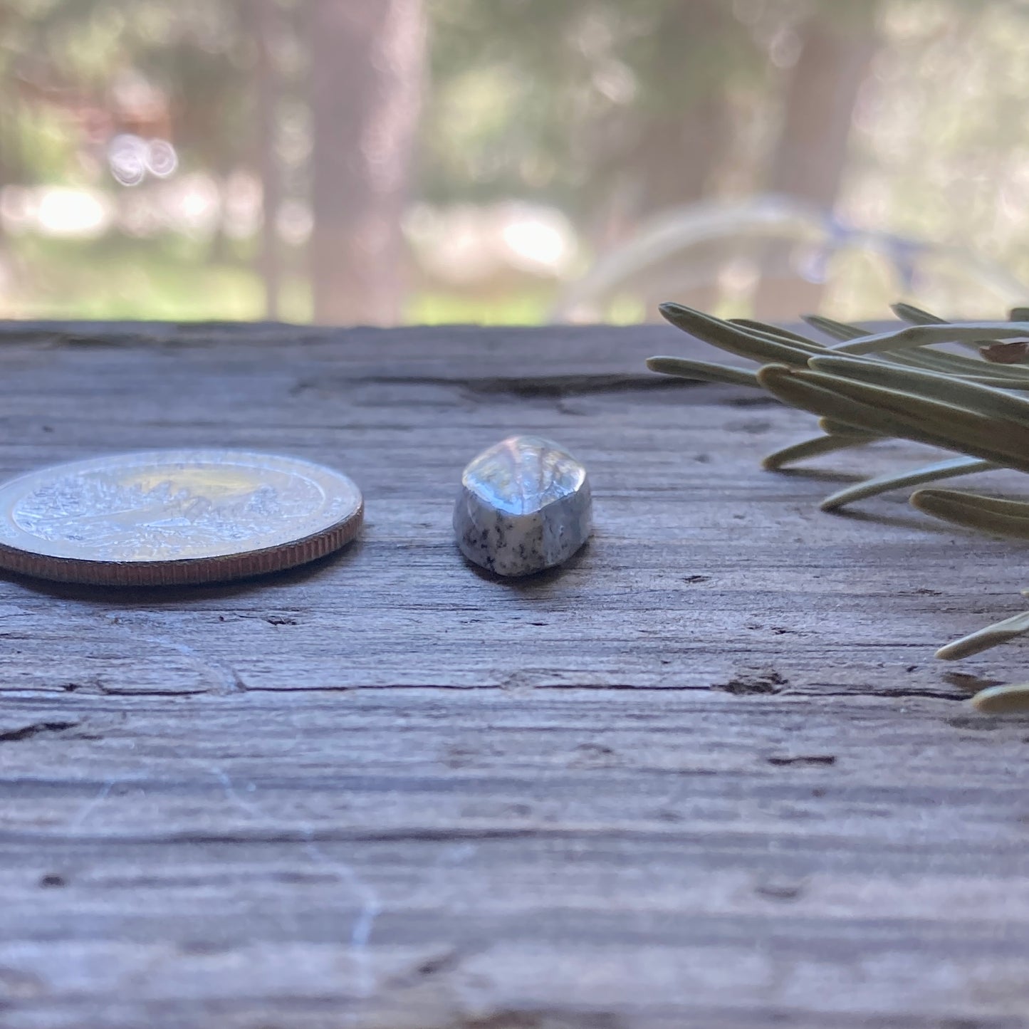 Sheep Spring Agate