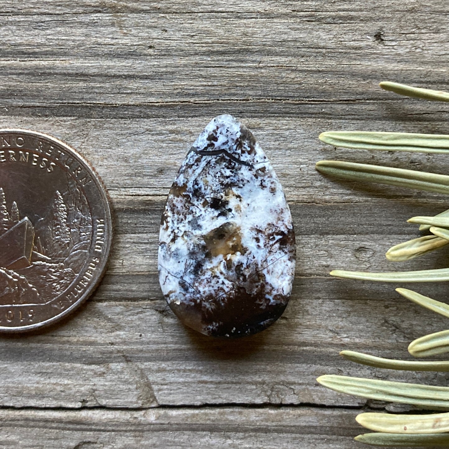 Sheep Spring Agate