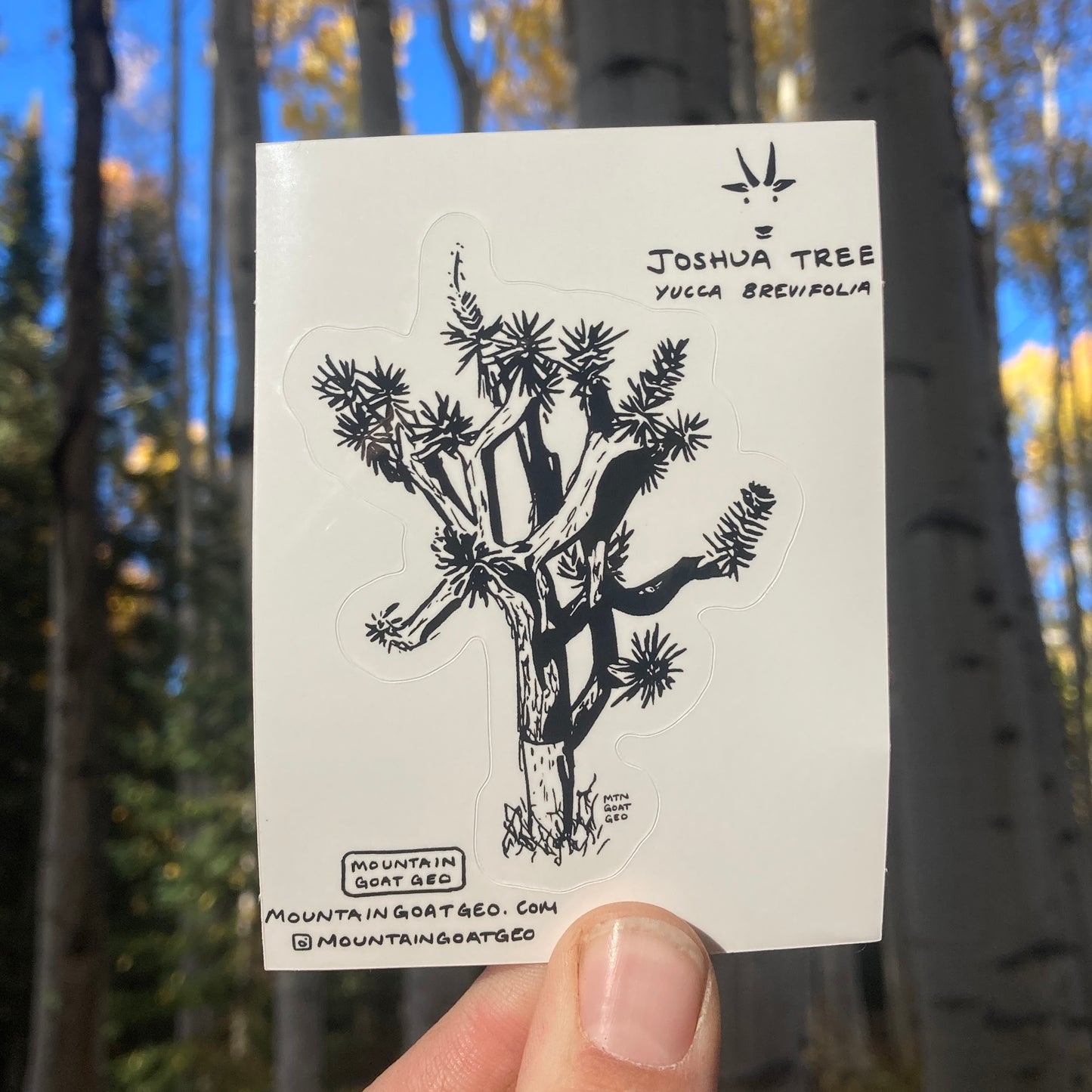 Joshua Tree Sticker