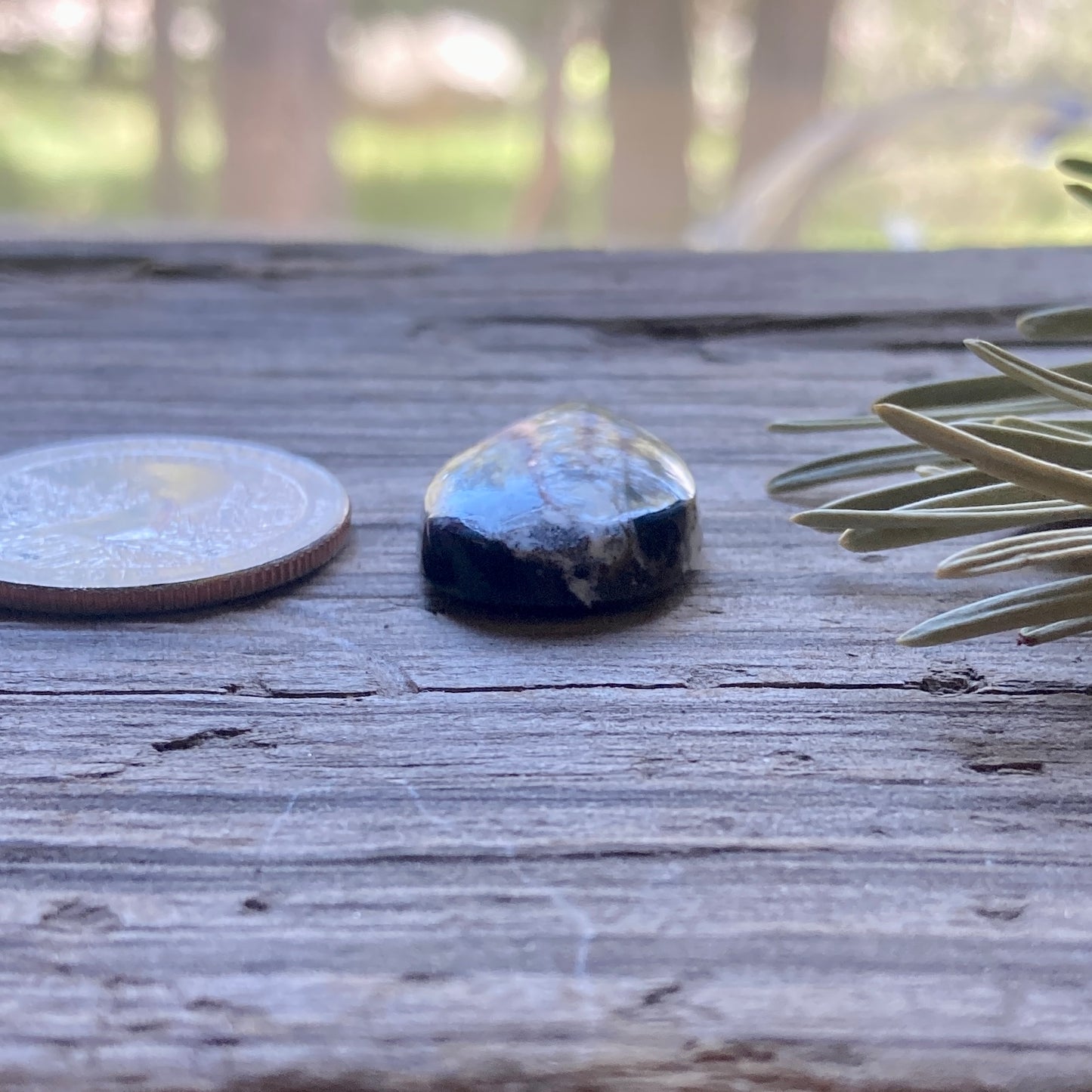 Sheep Spring Agate