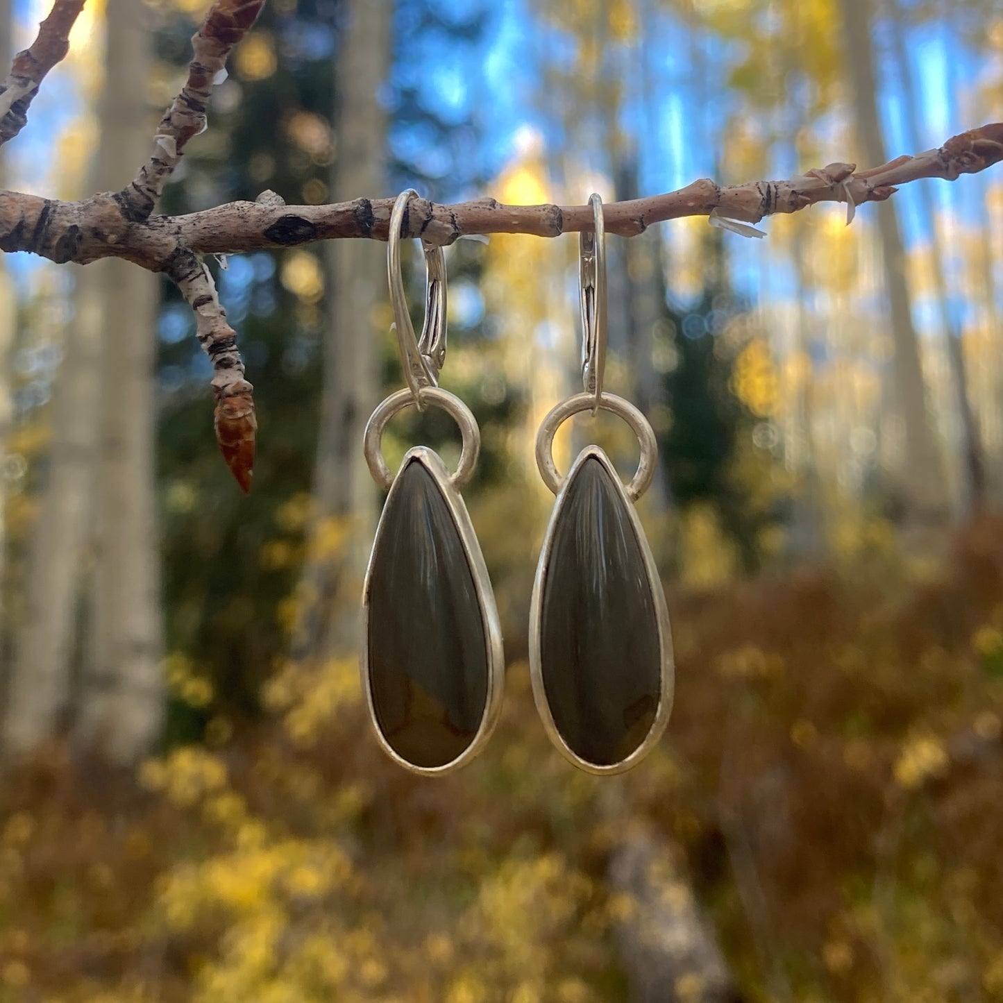 Deer Sky Jasper Dangles