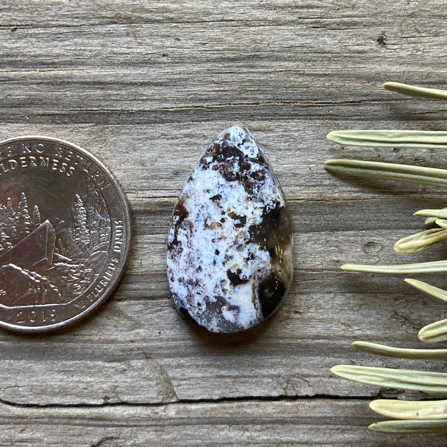 Sheep Spring Agate