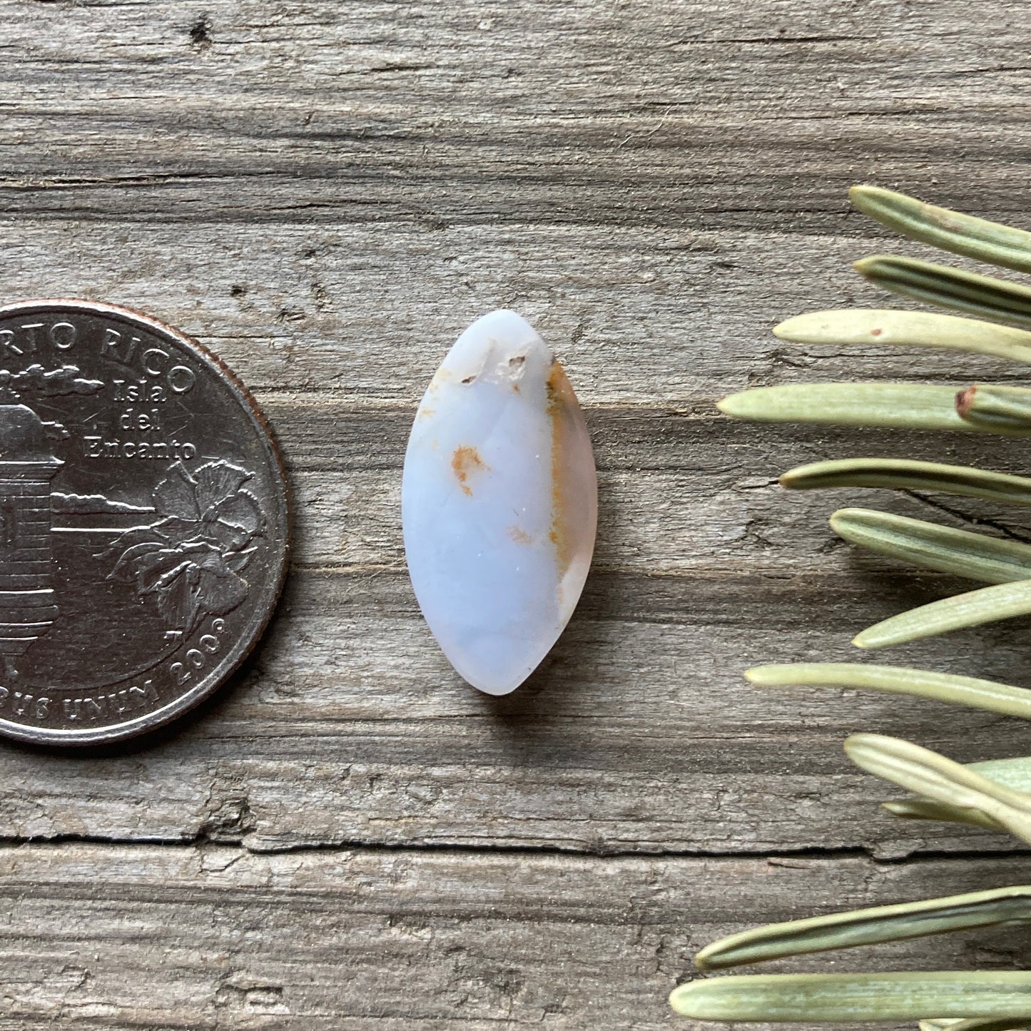 Dendritic Opal marquise