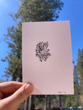 Aster Bloom