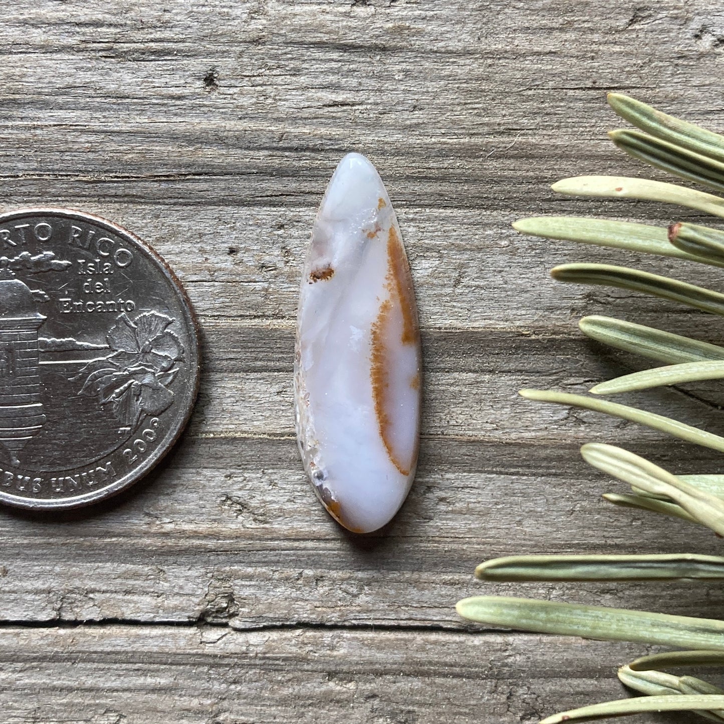 Dendritic Opal talon