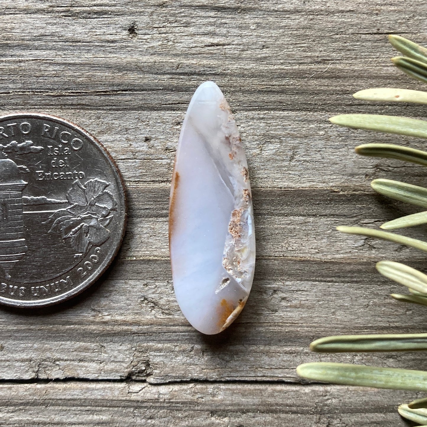 Dendritic Opal talon