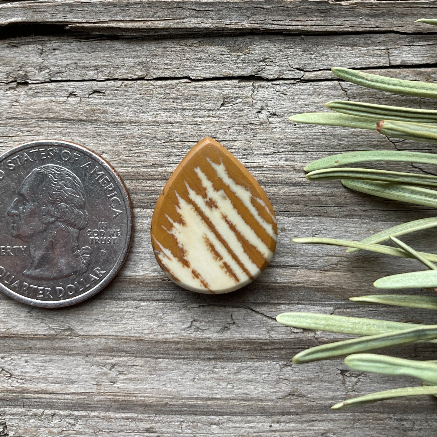 Owyhee Jasper