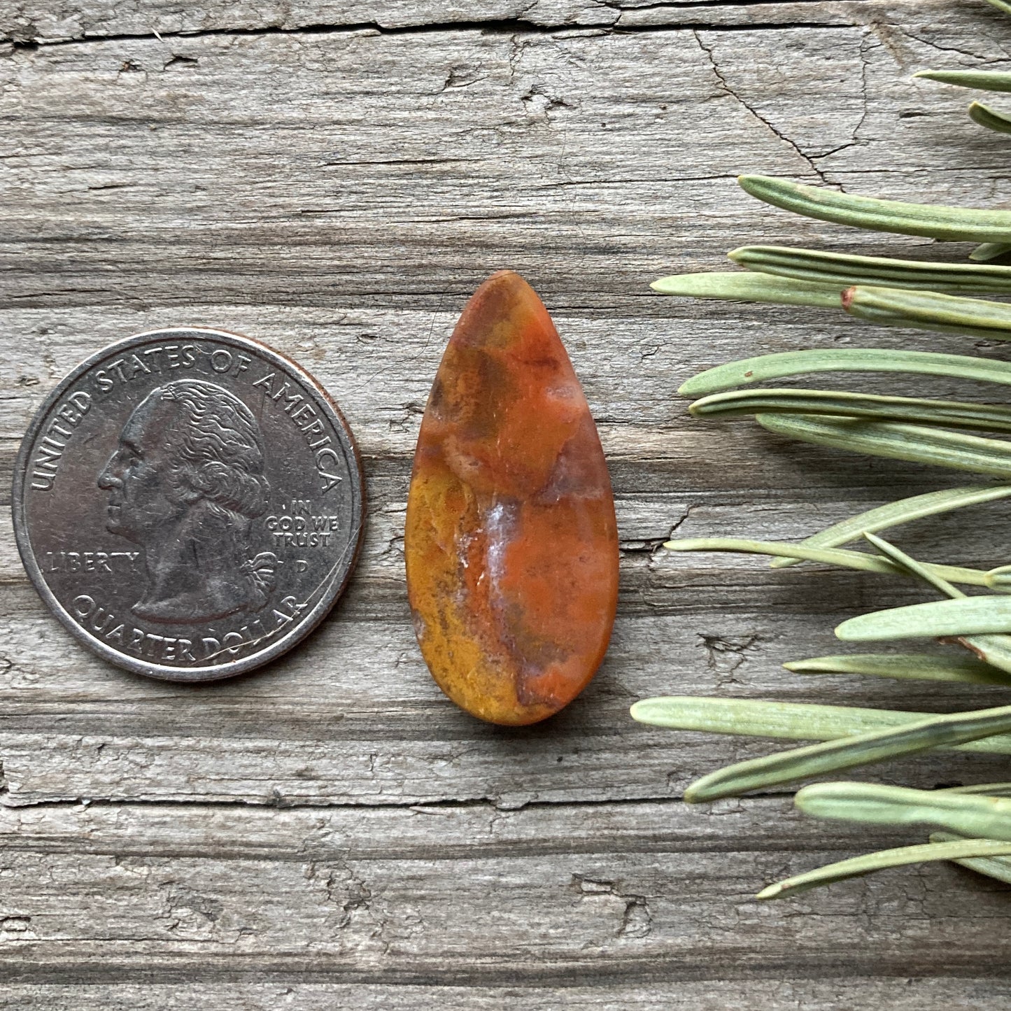 Pinto Hills Agate